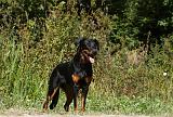 BEAUCERON 715